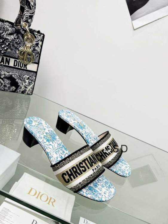 Picture of Dior Shoes _SKUDiorsz34-46SD01333703